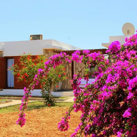 Guest house Karpasia Nature Eco At Rizokarpasso